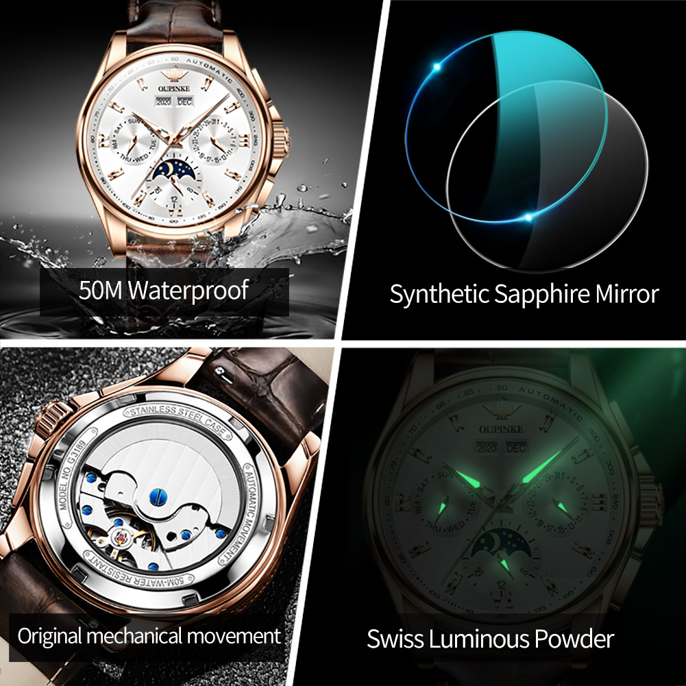 OUPINKE 3189 Men Fully Automat - đánh giá và giá Moonphase Complication Watch