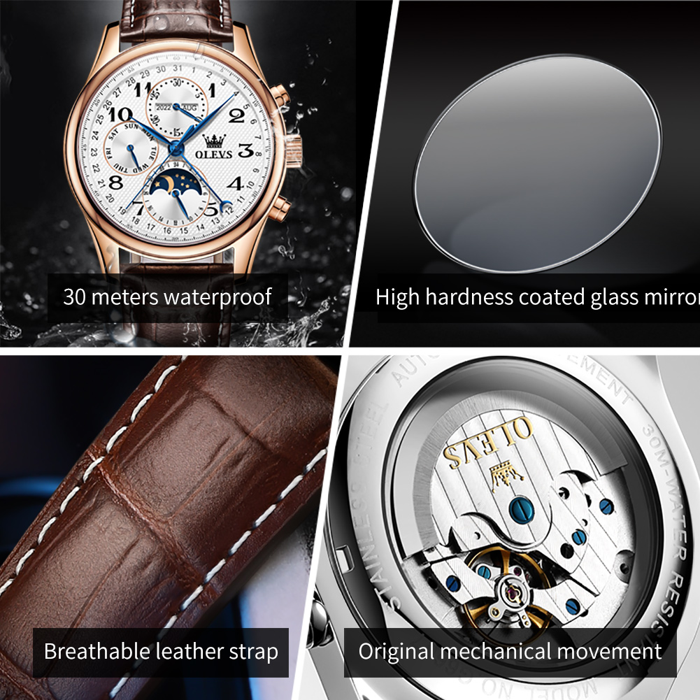 OLEVS 6667 Luxury Original Men - đánh giá và giá Moonphase Complication Watch